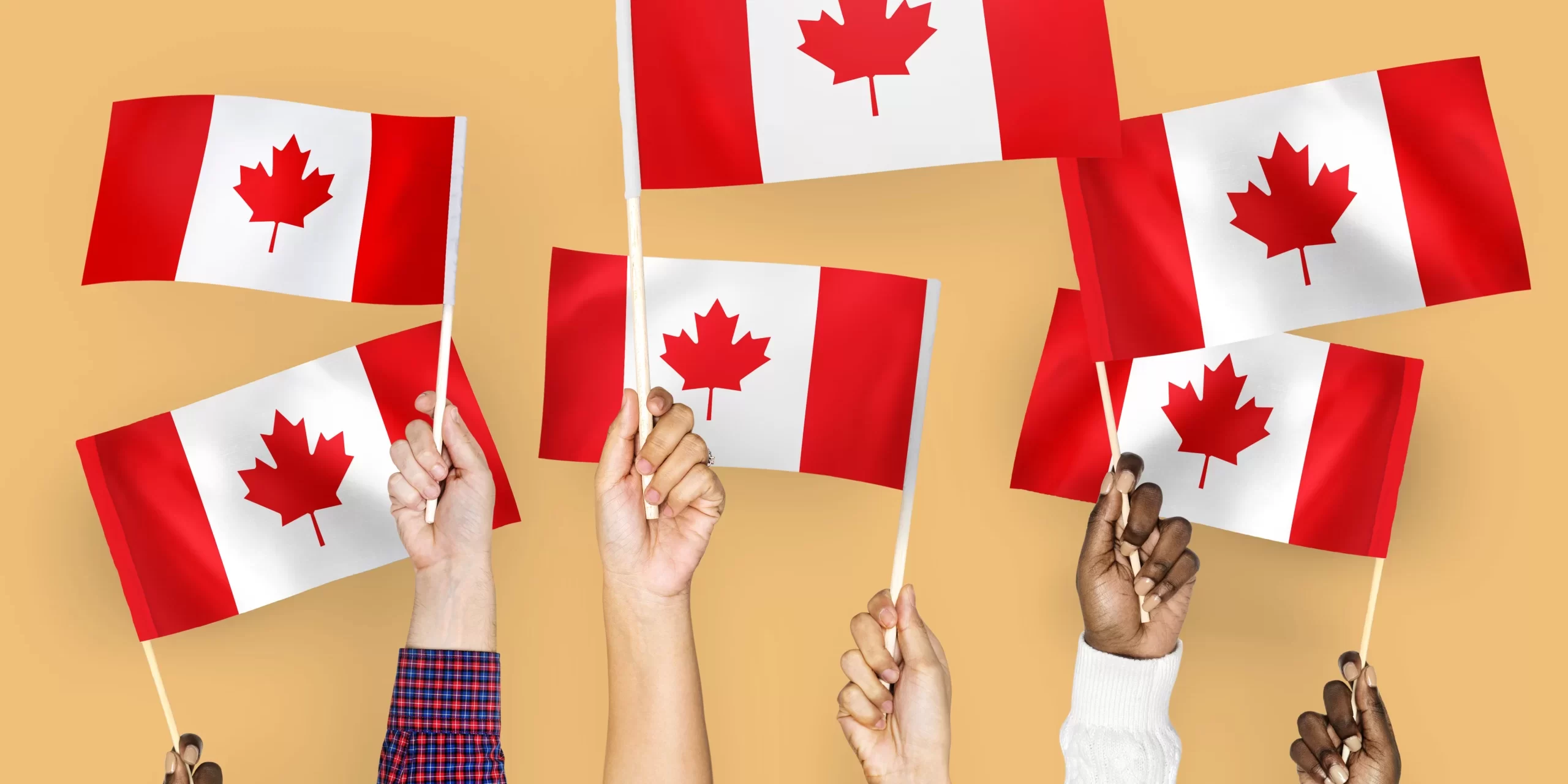 how to apply Canada Digital Adoption Program (CDAP) how to apply Canada Digital Adoption Program (CDAP)