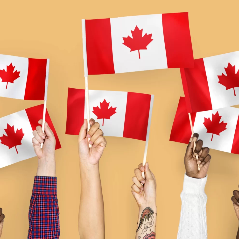 how to apply Canada Digital Adoption Program (CDAP) how to apply Canada Digital Adoption Program (CDAP)